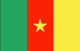 Kameroen Flag