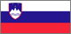 Slovenië Flag